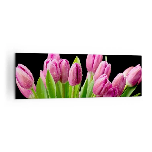 Obraz na płótnie - Różowe tulipany z kroplami rosy na czarnym tle - 160x50cm - Liliowa radość wiosny - Nowoczesna dekoracja ścienna do salonu i sypialni ARTTOR