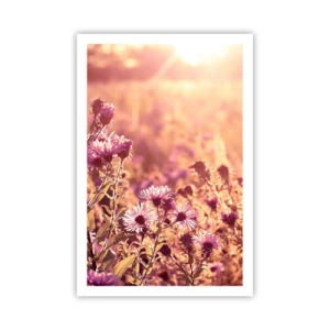 Plakat - Przed odejściem lata - 61x91 cm