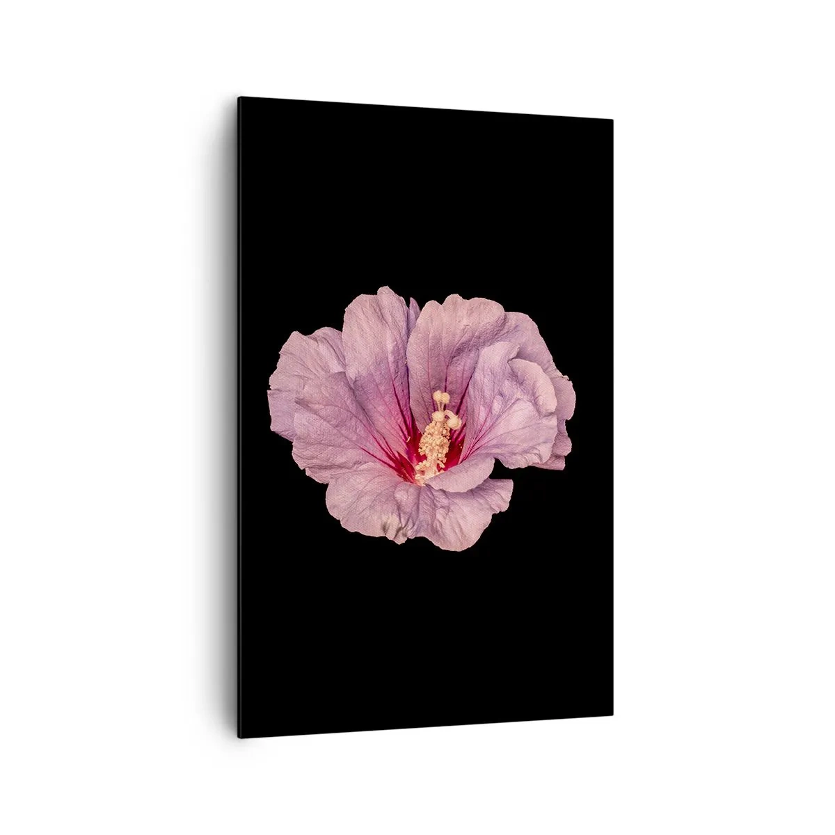 Obraz na płótnie - Różowy kwiat na czarnym tle - 80x120cm - Prosto do serca - Nowoczesna dekoracja ścienna do salonu i sypialni ARTTOR
