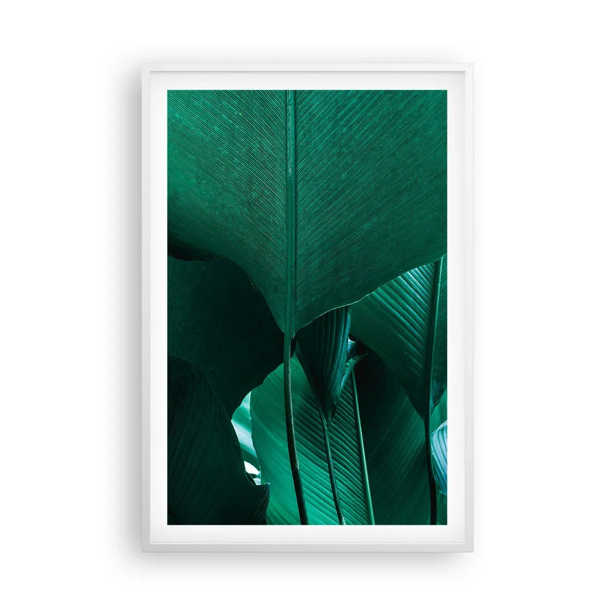 Plakat w białej ramie - Zwrócone do światła - 61x91 cm