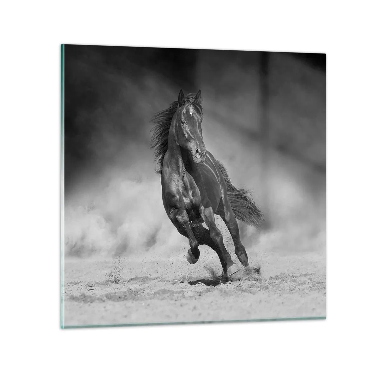 Obraz na szkle - Godny samego emira - 70x70 cm
