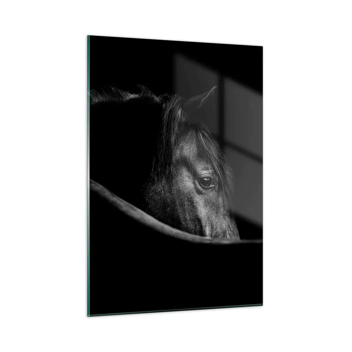 Obraz na szkle - Profil czarnego konia w cieniu z widocznym okiem - 50x70cm - Czarny książę - Nowoczesna dekoracja ścienna do salonu, kuchni i sypialni ARTTOR