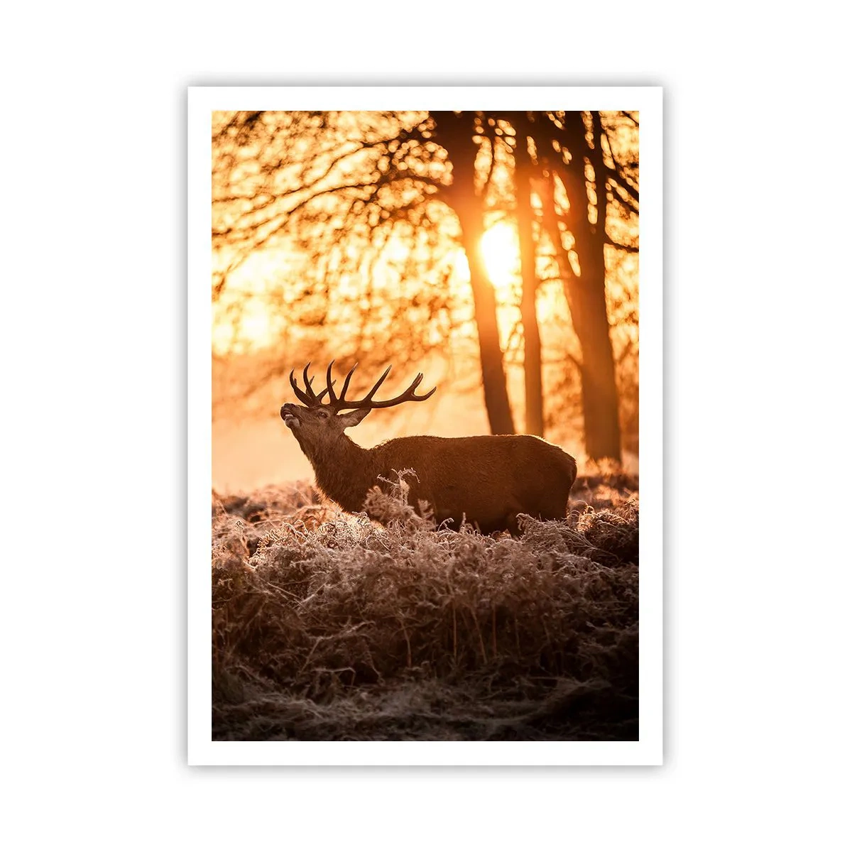 Plakat - Marzenie myśliwego - 70x100 cm