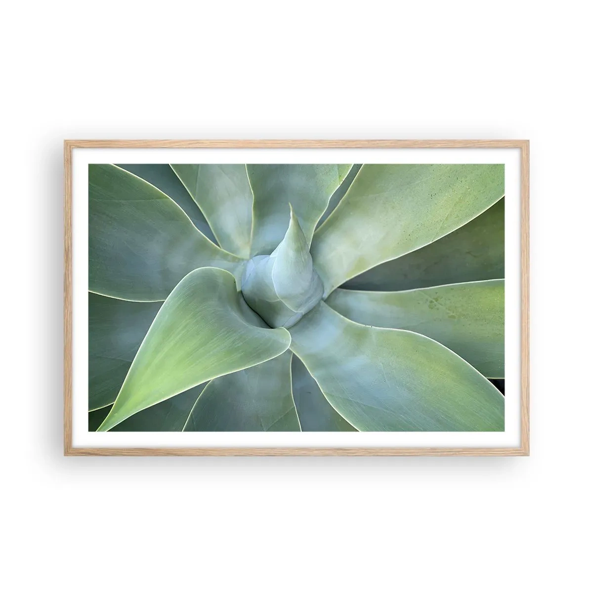Plakat w ramie jasny dąb - Narodziny zieleni - 91x61 cm