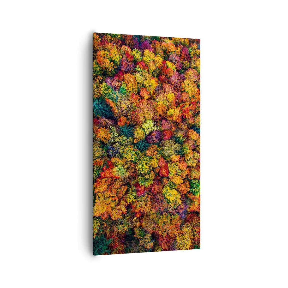Obraz na płótnie - Bukiet jesiennych drzew - 65x120 cm