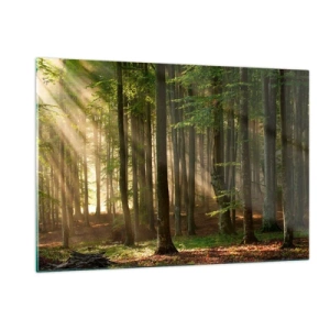 Obraz na szkle - Promienie słońca przebijające się przez drzewa w lesie - 120x80cm - Rozpromieniony w wiosenny poranek - Nowoczesna dekoracja ścienna do salonu, kuchni i sypialni ARTTOR