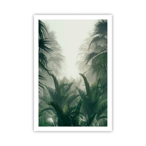 Plakat - Tropikalna tajemnica - 61x91 cm