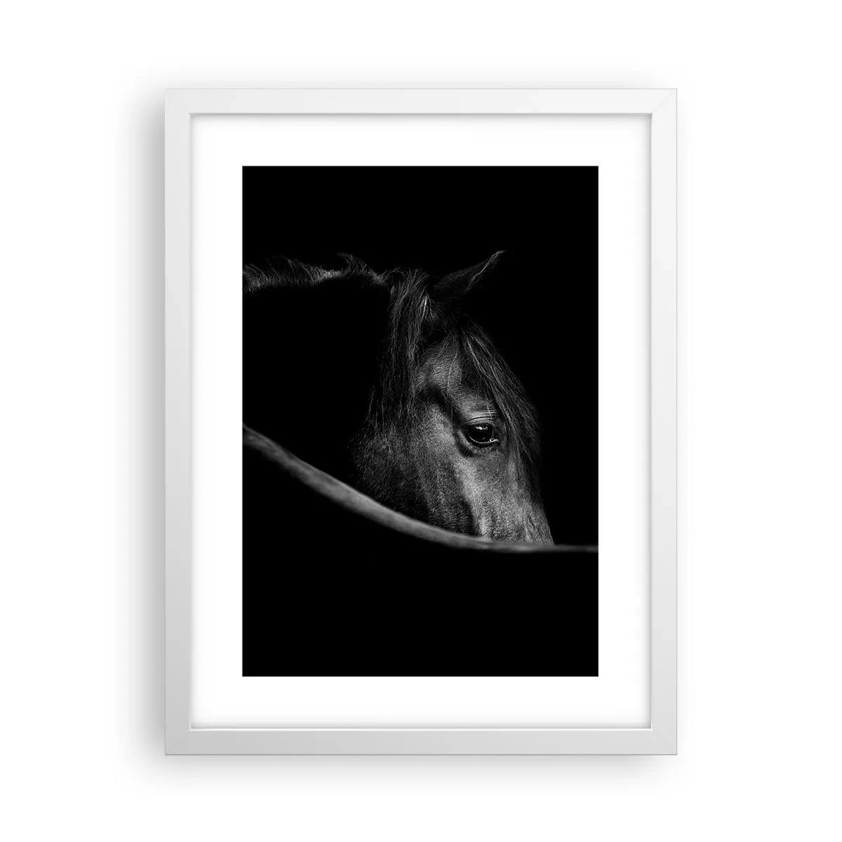 Plakat w białej ramie - Czarny książę - 30x40 cm