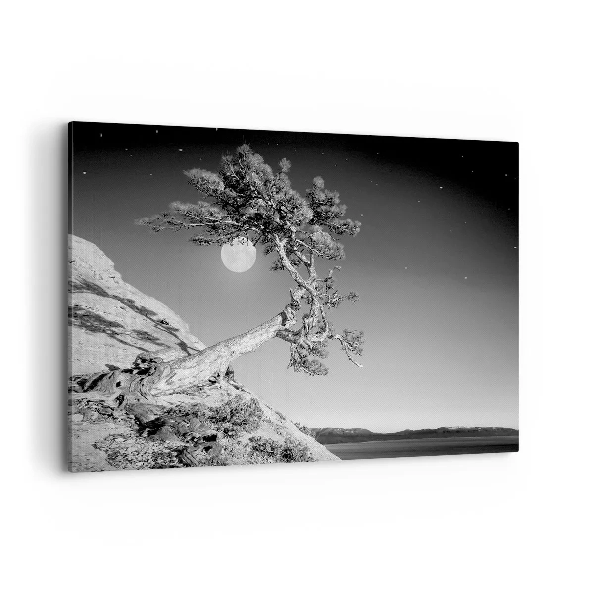 Obraz na płótnie - Czarno-białe drzewo na klifie z księżycem w tle - 100x70cm - Zwycięska wojowniczka - Nowoczesna dekoracja ścienna do salonu, kuchni i sypialni ARTTOR