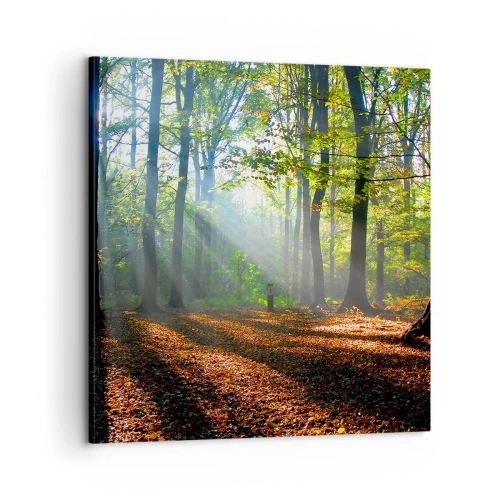 Obraz na płótnie - Blaski i cienie - 60x60 cm