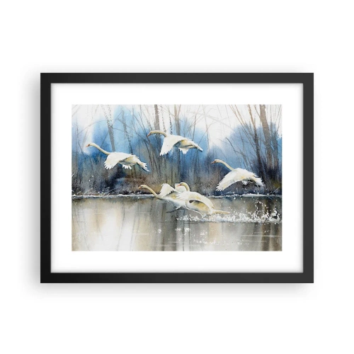 Plakat w czarnej ramie - Jak w baśni o dzikich łabędziach - 40x30 cm