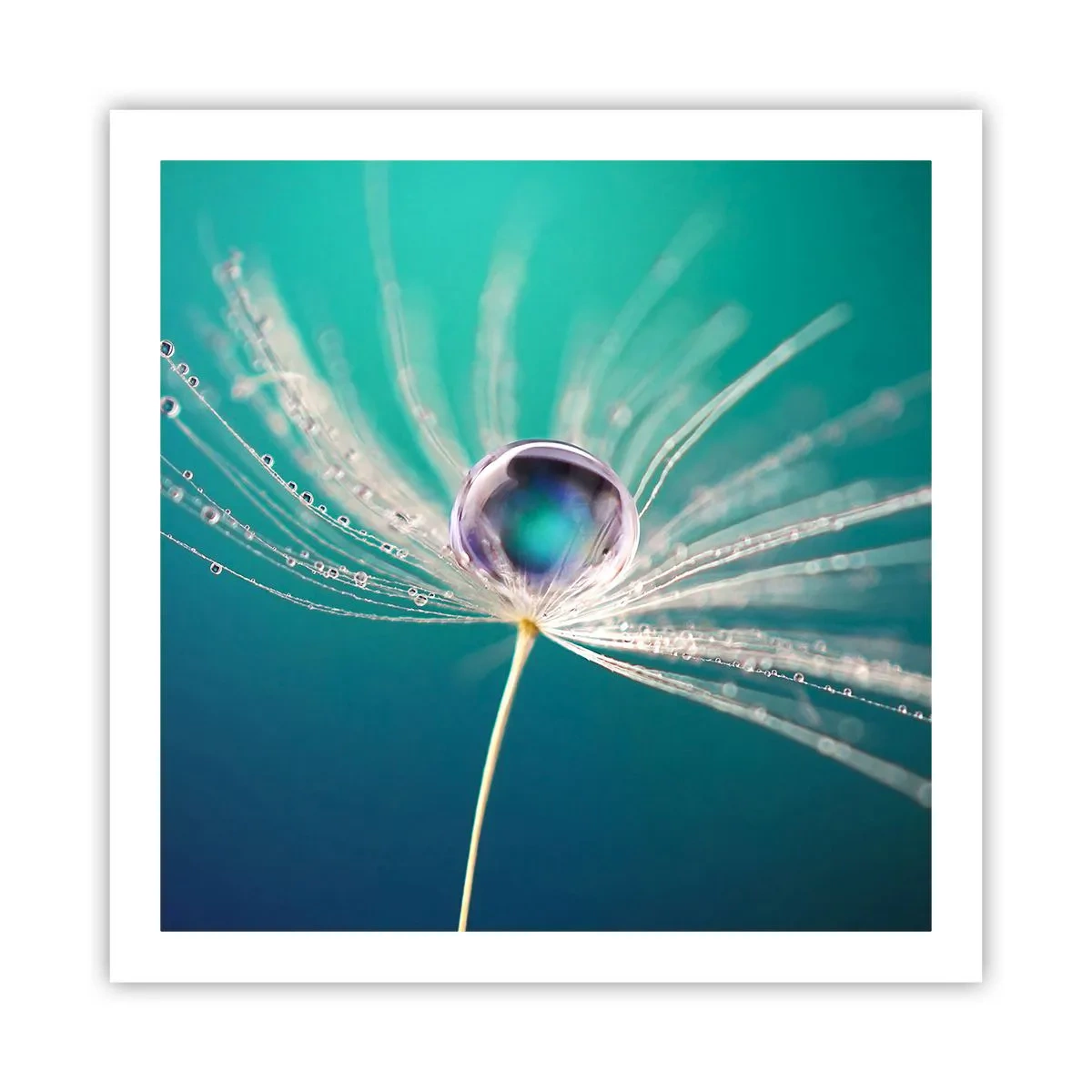 Plakat - Mistyczna chwila - 60x60 cm