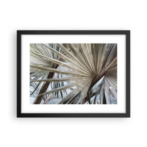 Plakat w czarnej ramie - Wachlarze w tropikach - 40x30 cm