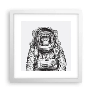 Plakat w białej ramie - Alternatywna ewolucja - 30x30 cm