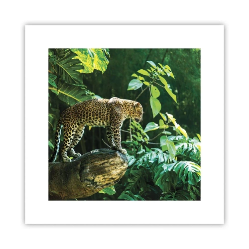 Plakat - Na łowy? - 30x30 cm