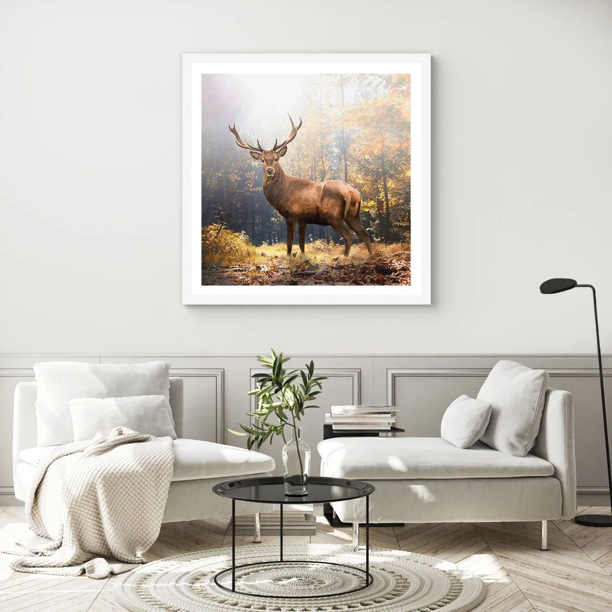 Plakat w białej ramie - W pełnym majestacie - 50x50 cm