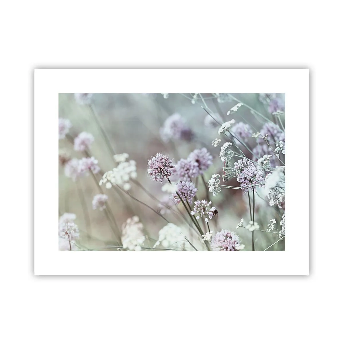 Plakat - Słodkie filigrany ziół - 40x30 cm