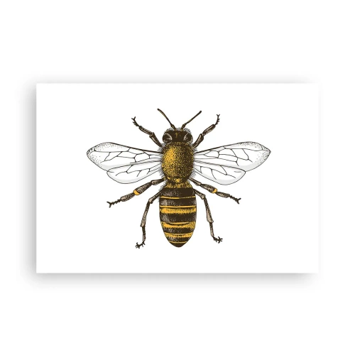 Plakat - Piękna i dobra - 91x61 cm