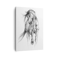 70x100 cm | Pionowy