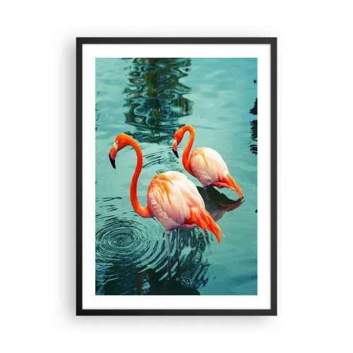 Plakat w czarnej ramie - Dwa flamingi na tle spokojnej wody - 50x70cm - Jesteśmy teraz w modzie - Nowoczesna dekoracja ścienna do salonu i sypialni ARTTOR
