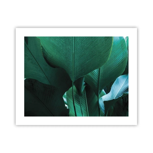 Plakat - Zwrócone do światła - 50x40 cm