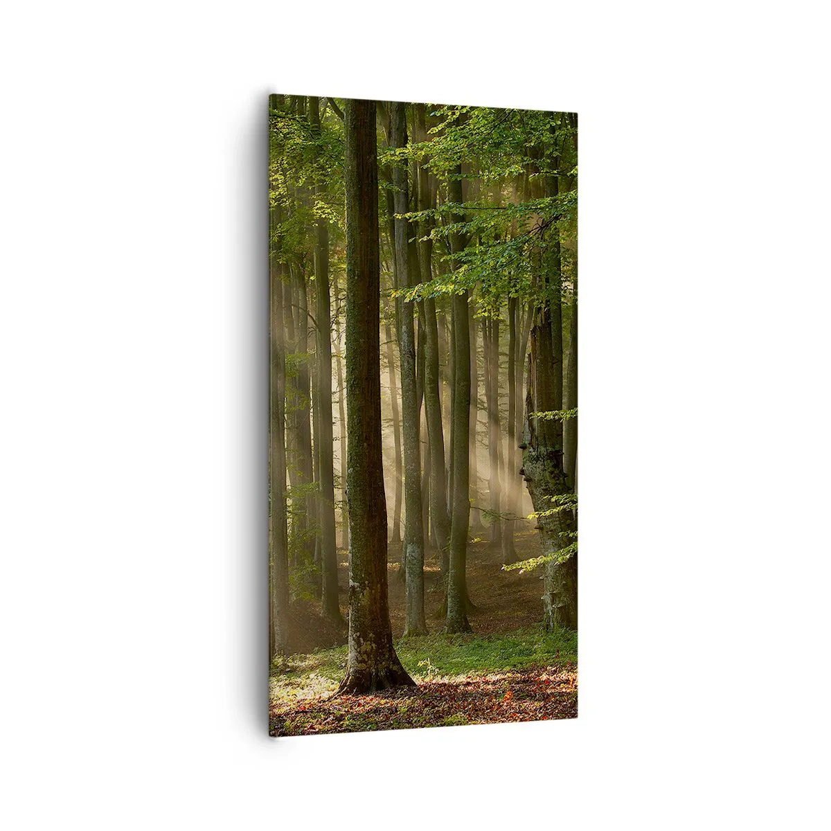 Obraz na płótnie - Rozpromieniony w wiosenny poranek - 65x120 cm