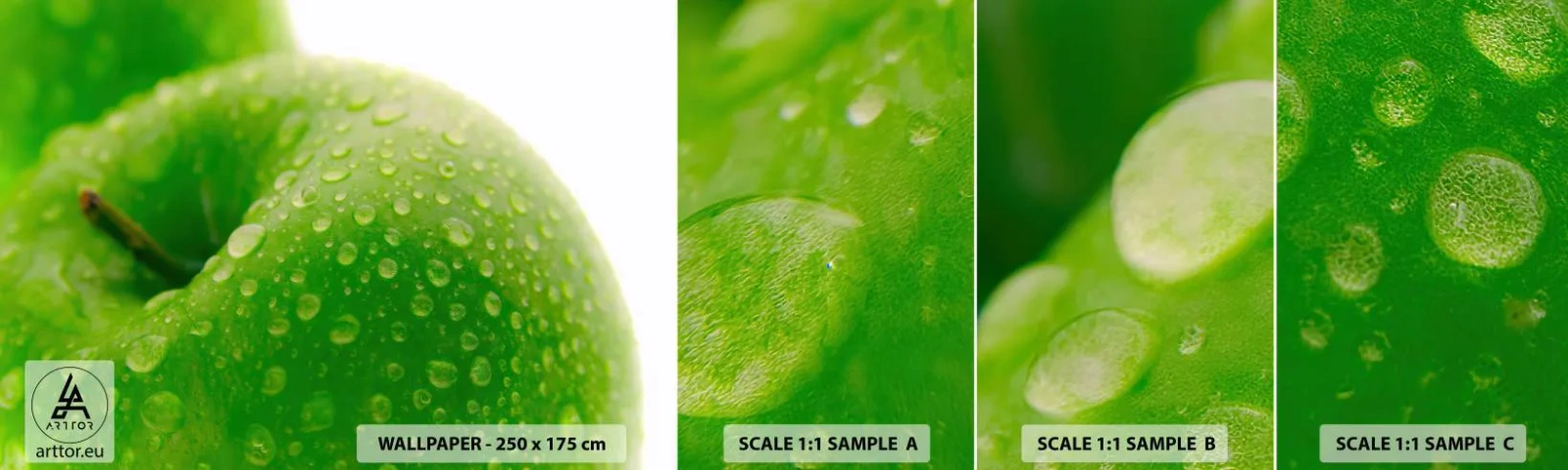 Fototapeta Próbka Standard Eco - Zielona chłodna świeżość - Owoce, Jabłko, Gastronomia - 100x30 cm
