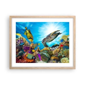 Plakat w ramie jasny dąb - Koralowa promenada - 50x40 cm
