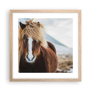 Plakat w ramie jasny dąb - Czujesz wolność? - 40x40 cm