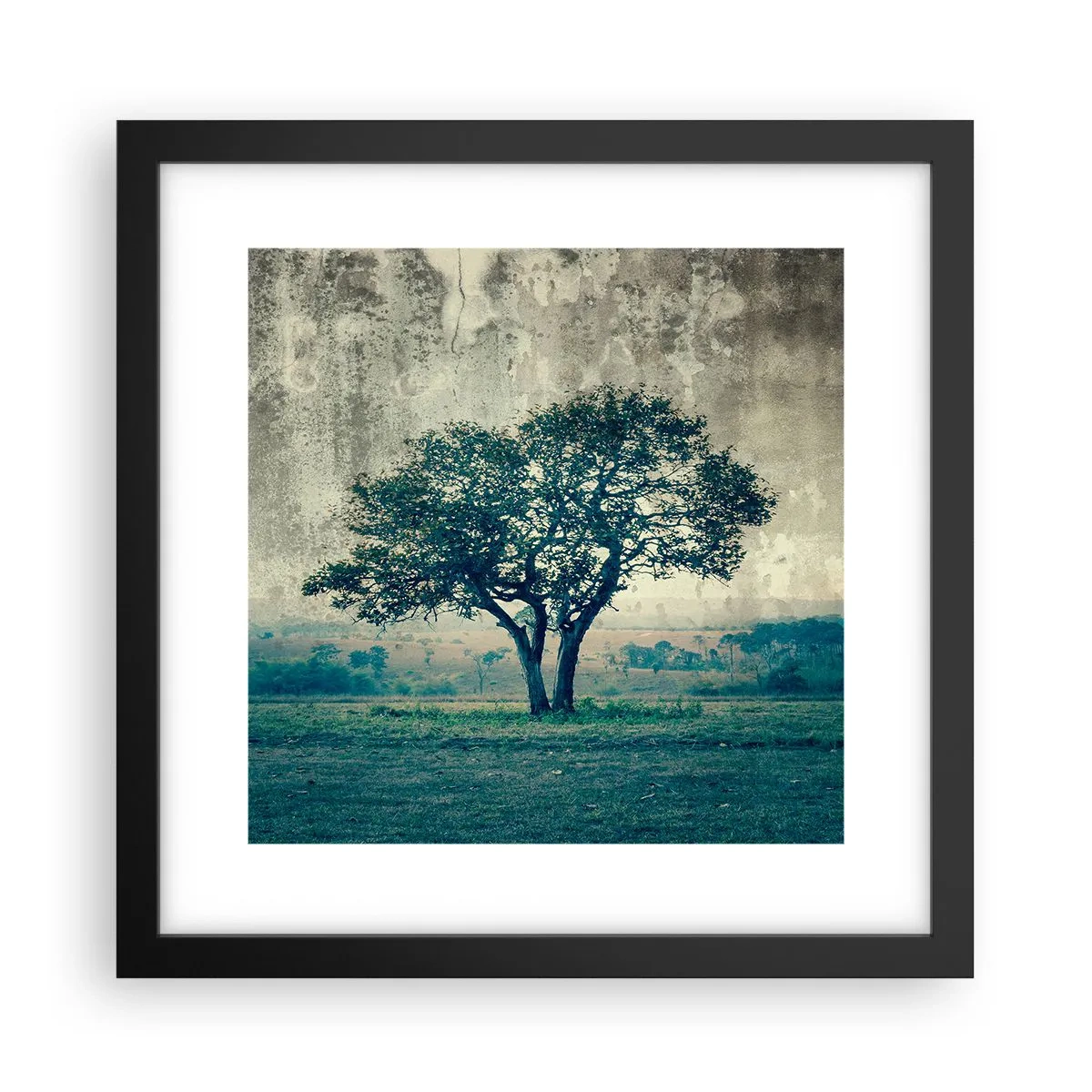 Plakat w czarnej ramie - Jabłoń na błękitnym błoniu? - 30x30 cm