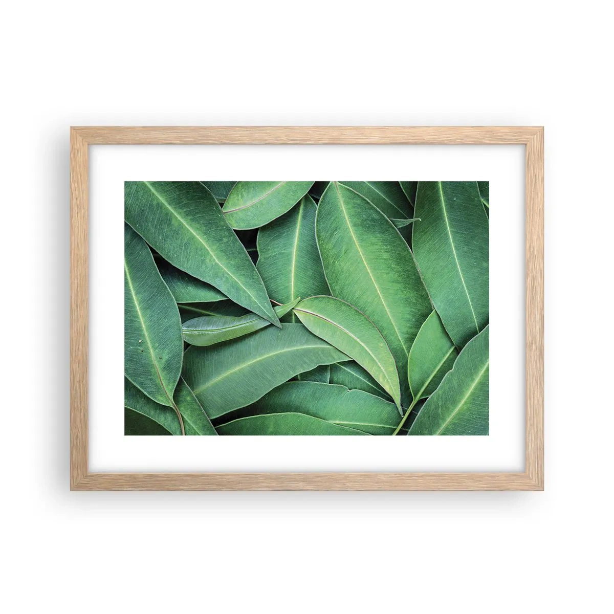 Plakat w ramie jasny dąb - Soczyste i świeże - 40x30 cm