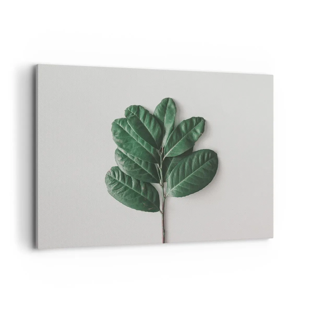Obraz na płótnie - Gałązka zielonych liści na jasnym tle - 100x70cm - Rysunek samej natury - Nowoczesna dekoracja ścienna do salonu, kuchni i sypialni ARTTOR