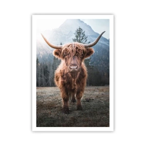 Plakat - Pozdrowienia z górskiej łąki - 70x100 cm