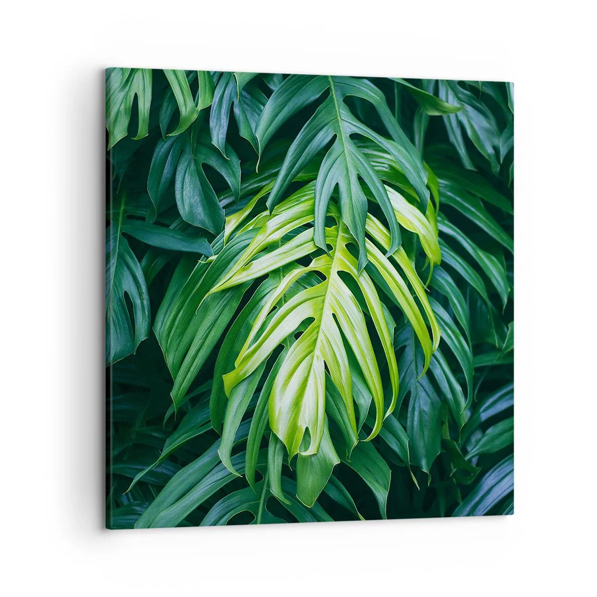 Obraz na płótnie - Zanurzyć się w świeżości - 50x50 cm