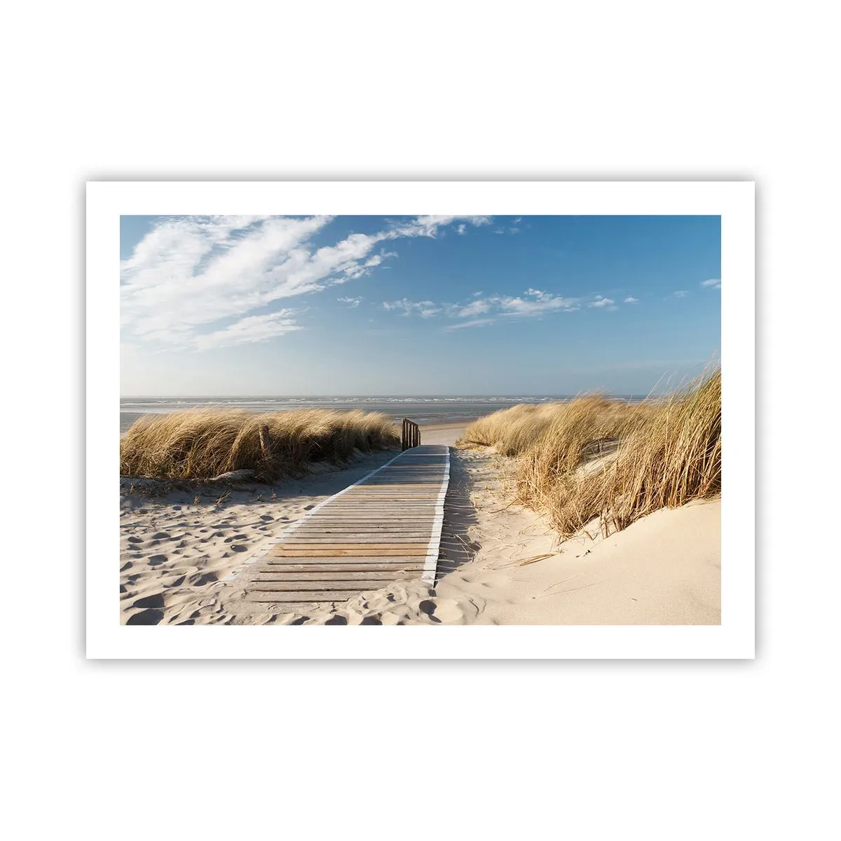 Plakat - Za wydmą, w szumie traw - 70x50 cm