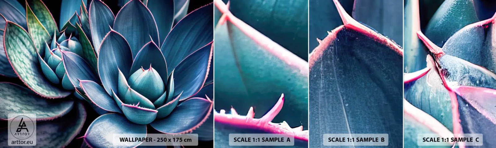 Fototapeta Próbka Samoprzylepna Deluxe Sticker - Witalna siła - Kwiaty, Botanika, Sukulenty - 100x30 cm