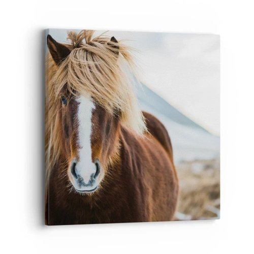 Obraz na płótnie - Czujesz wolność? - 30x30 cm