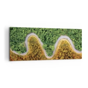 Obraz na płótnie - Zakręcona droga przez las widziana z lotu ptaka - 120x50cm - Granice i przełomy - Nowoczesna dekoracja ścienna do salonu i sypialni ARTTOR