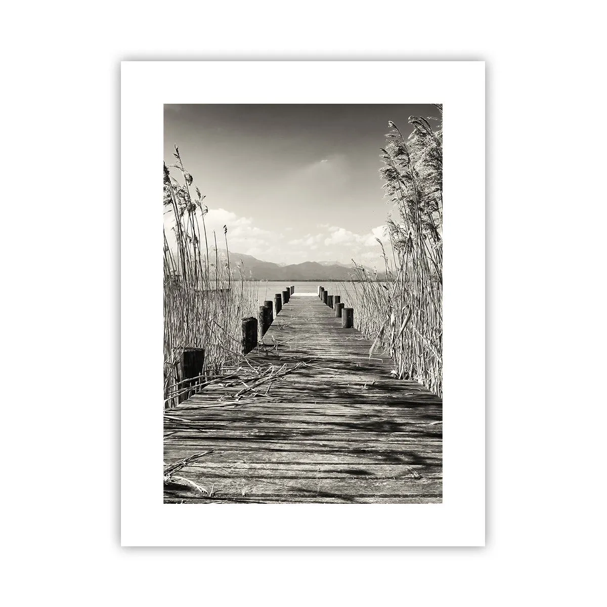 Plakat - W zaciszu traw - 30x40 cm