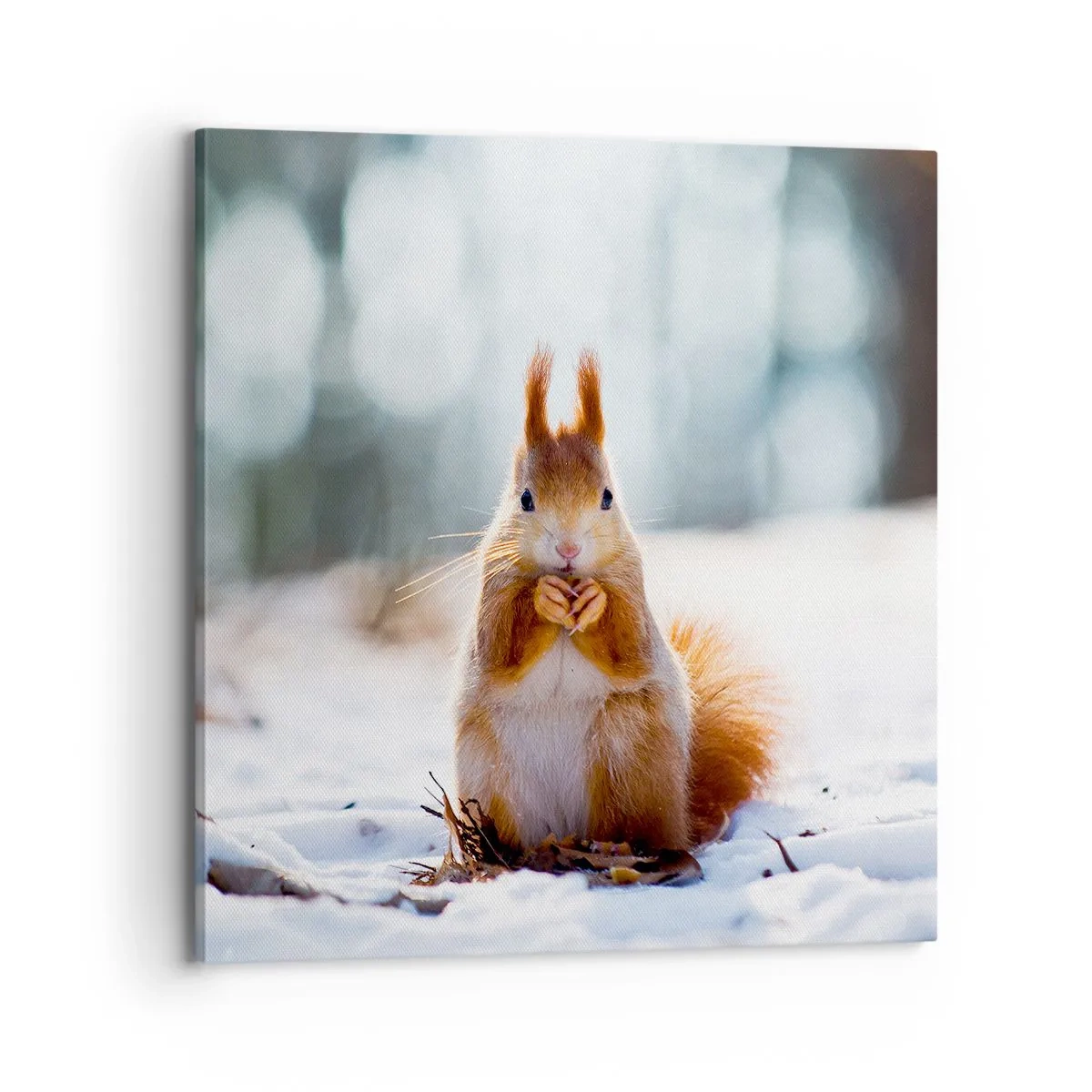 Obraz na płótnie - I co tak patrzysz? - 70x70 cm