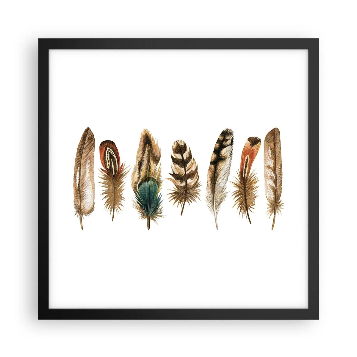 Plakat w czarnej ramie - Pierzasta wariacja - 40x40 cm