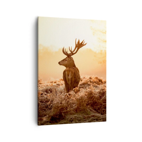 Obraz na płótnie - Jeleń o poranku w złotym świetle - 50x70cm - Pan na włościach - Nowoczesna dekoracja ścienna do salonu, kuchni i sypialni ARTTOR