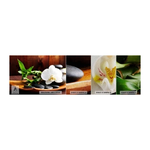 Fototapeta Próbka Premium Sand - Poddaj się dotykowi natury - Kwiaty, Orchidea, Storczyk - 100x30 cm