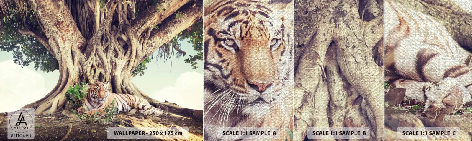 Fototapeta Próbka Premium Canvas - Widok z Księgi Rodzaju - Tygrys Bengalski, Indie, Krajobraz - 100x30 cm