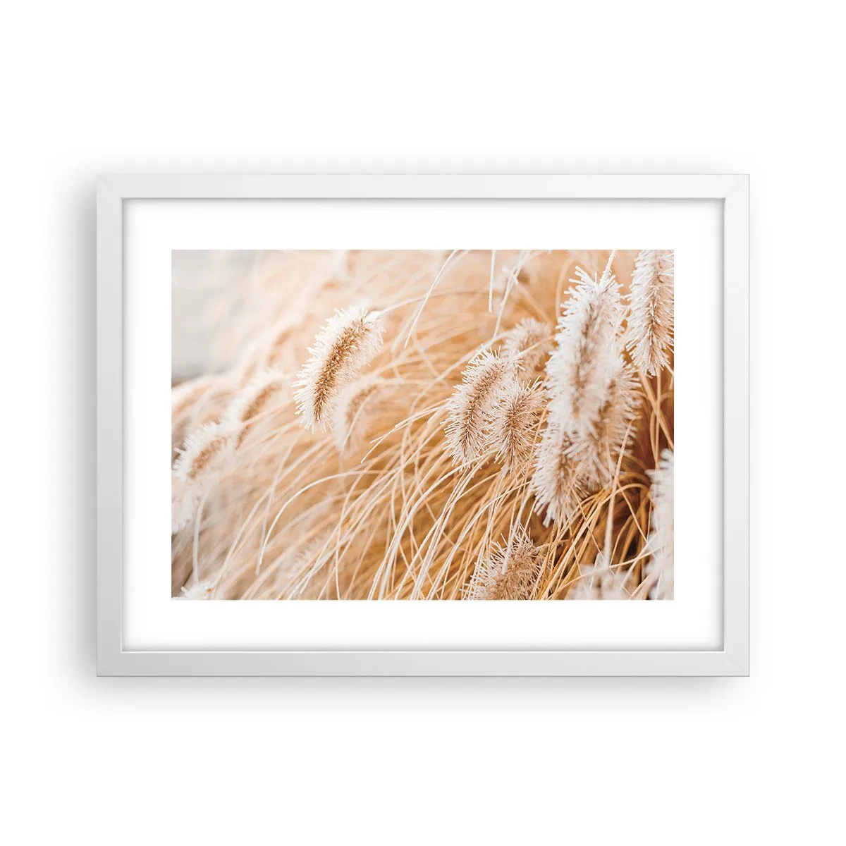 Plakat w białej ramie - Złoty szelest traw - 40x30 cm