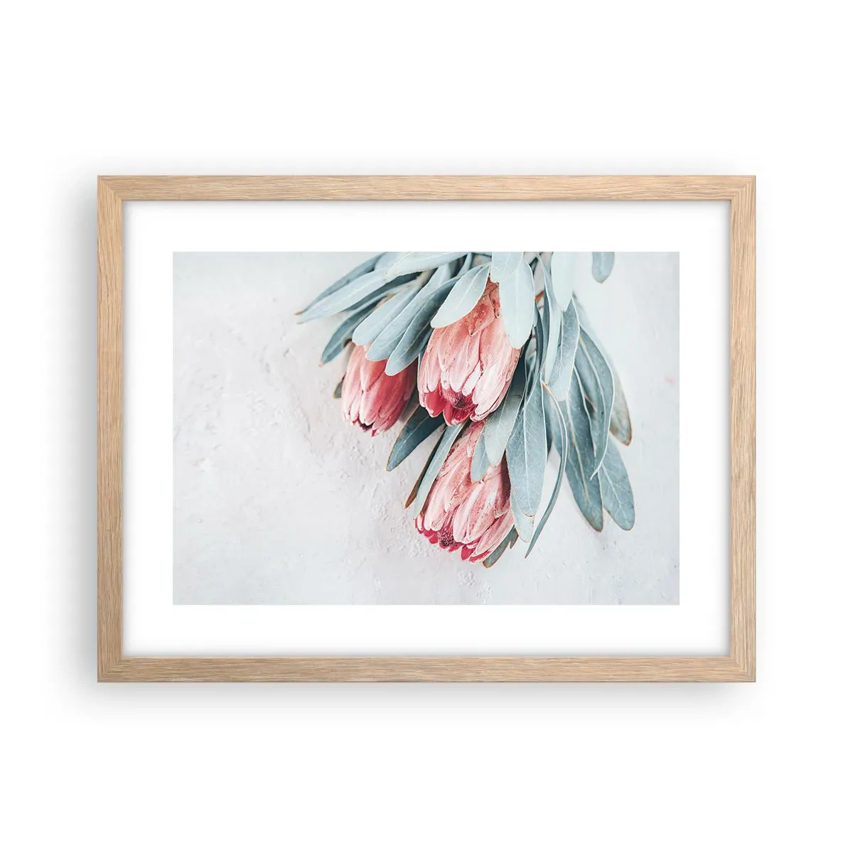 Plakat w ramie jasny dąb - Zawstydzone własną urodą - 40x30 cm