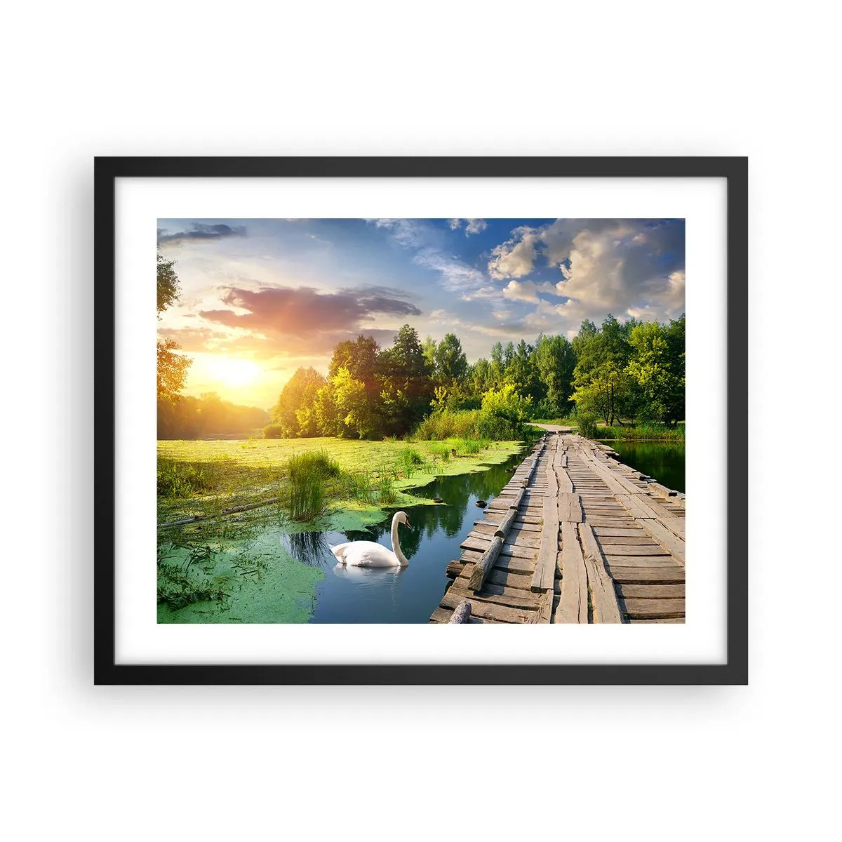 Plakat w czarnej ramie - Lato, lato wszędzie - 50x40 cm