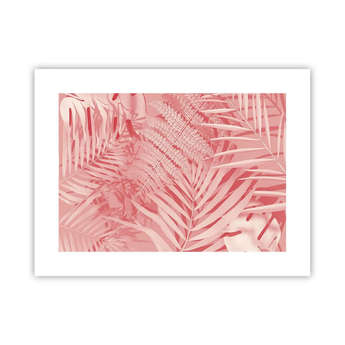 Plakat - Różowy koncept - 40x30 cm