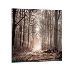 Obraz na szkle - Leśna katedra - 60x60 cm