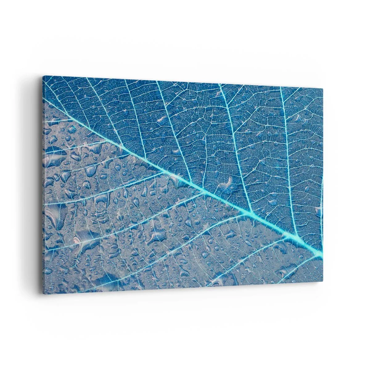 Obraz na płótnie - Liść w błękitnych odcieniach z kroplami wody - 100x70cm - Życie w błękicie - Nowoczesna dekoracja ścienna do salonu, kuchni i sypialni ARTTOR